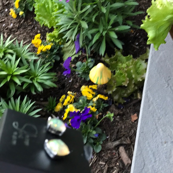 Pierced Earrings in a gift box - look like opals - Picture 8 of 8